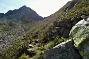 Monti Valegino (2415 m) ed Arete (2227m) ad anello dalla Baita del Camoscio il 27 agosto 2019 - FOTOGALLERY